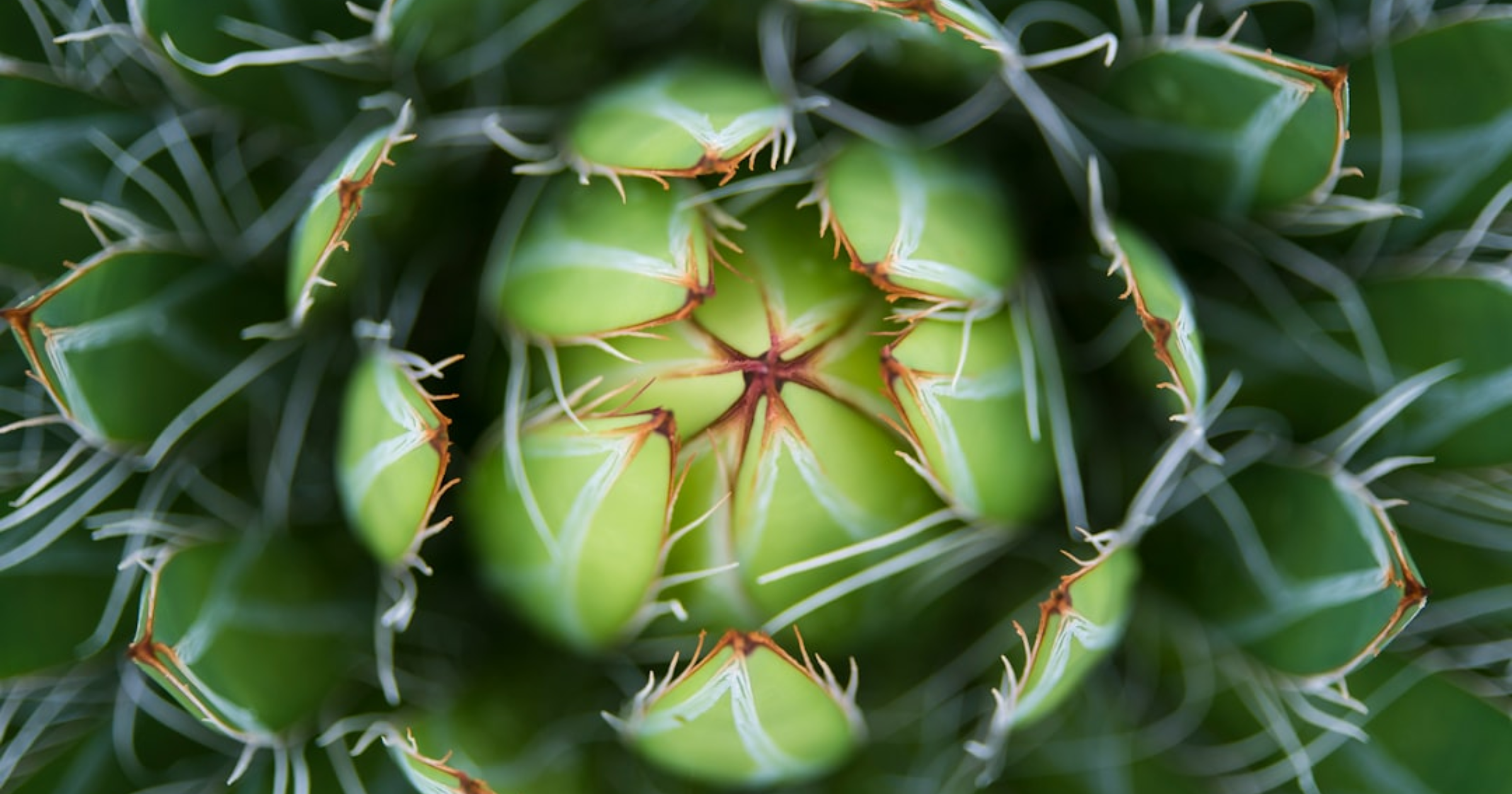 Pueblos Mágicos de México en Semana Santa: Pátzcuaro y San Miguel de Allende
